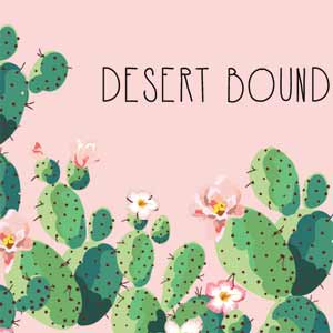 Desert Bound Xbox Adaptive Controller Skin