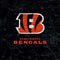 NFL Cincinnati Bengals - Distressed Studio Wireless 3 Skin