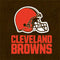 NFL Cleveland Browns Distressed Xbox 360 Slim (2010) Skin
