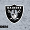 NFL Las Vegas Raiders - Alternate Distressed DS Lite Skin