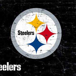NFL Pittsburgh Steelers Distressed Nintendo 2DS Skin