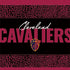 NBA Cleveland Cavaliers Elephant Print Xbox 360 Slim (2010) Skin
