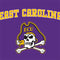 East Carolina University ECU Pirates Logo Nintendo 2DS XL (2017) Skin
