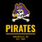 East Carolina University Pirates Greenville NC Wii (Includes 1 Controller) Skin