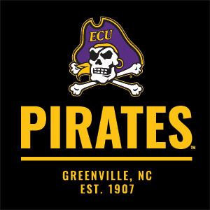 East Carolina University Pirates Greenville NC Nintendo 2DS XL (2017) Skin