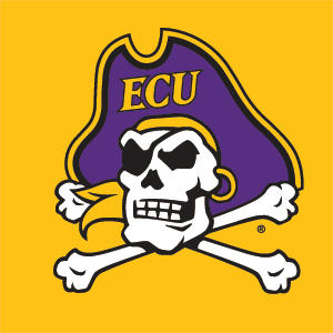 East Carolina University ECU Pirates Logo Yellow Nintendo 2DS XL (2017) Skin