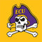 East Carolina University ECU Pirates Logo Yellow Nintendo 2DS XL (2017) Skin