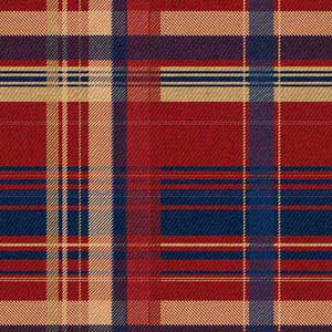 Red and Blue Plaid Xbox Elite Wireless Controller Series 2 Skin