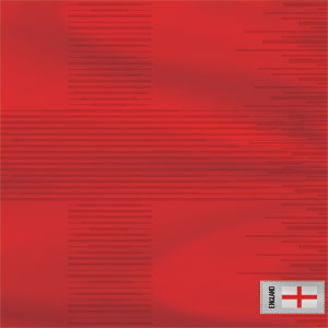 England Soccer Flag Bose SoundLink Mini Speaker II Skin