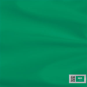 Saudi Arabia Soccer Flag Xbox Adaptive Controller Skin