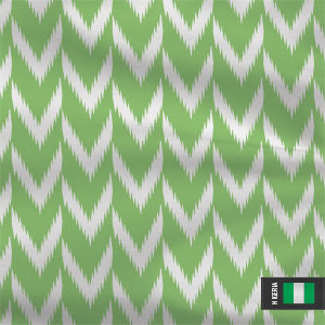 Nigeria Soccer Flag Xbox Adaptive Controller Skin