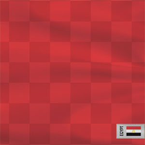 Egypt Soccer Flag Cochlear Nucleus 5 Sound Processor Skin