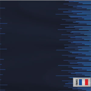 France Soccer Flag PlayStation 4 Gold Wireless Headset Skin