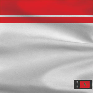 Morocco Soccer Flag Bose SoundLink Mini Speaker II Skin