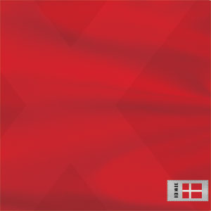 Denmark Soccer Flag Xbox Adaptive Controller Skin