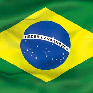 Brazil Flag iPad Charger (10W USB) Skin