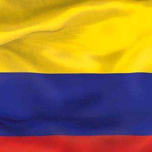 Colombia Flag iPad Charger (10W USB) Skin