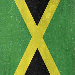 Jamaica Flag Distressed Fire TV Cube Skin