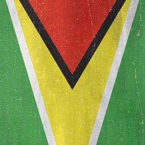 Guyana Flag Distressed Cochlear Nucleus 5 Sound Processor Skin