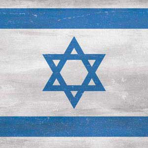 Israel Flag Distressed Steam Deck Handheld Gaming Computer Skin