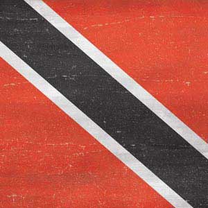 Trinidad and Tobagao Flag Distressed Cooler Master MasterBox Q300L Mini Tower Skin