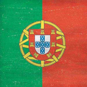 Portugal Flag Distressed Google Home Skin