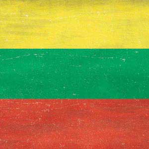 Lithuania Flag Distressed Galaxy S8 Skin