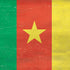 Cameroon Flag Distressed iPhone XS Clear Case