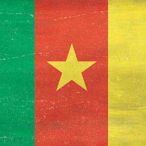 Cameroon Flag Distressed Fire TV Cube Skin