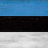 Estonia Flag Distressed Nintendo Switch OLED (2021) Skin