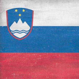 Slovenia Flag Distressed 3DS XL 2015 Skin