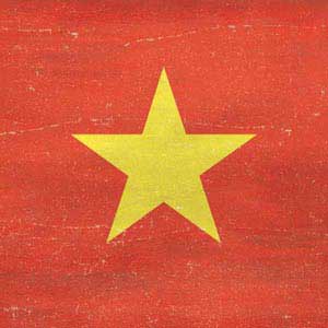 Vietnam Flag Distressed Nintendo GameCube Controller Skin