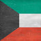 Kuwait Flag Distressed Galaxy Note20 5G Clear Case