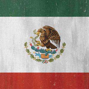 Mexico Flag Distressed Nintendo Switch Pro Controller Skin