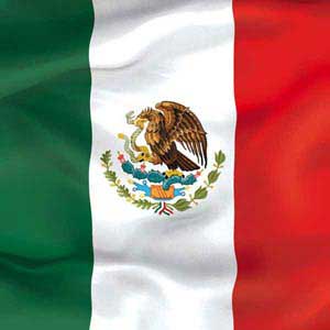 Mexico Flag Surface Pro 6 Skin