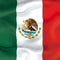Mexico Flag Surface Pro Tablet Skin