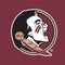Florida State FSU Seminoles PS5 Controller Skin