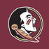 Florida State FSU Seminoles iPhone XS Clear Case