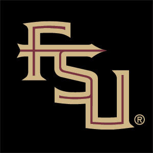 FSU Seminoles Black Studio Wireless Skin