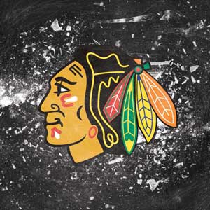 NHL Chicago Blackhawks Frozen DS Lite Skin