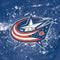 NHL Columbus Blue Jackets Frozen Beats Solo 2 Wired Skin