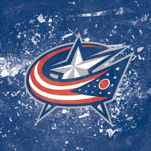 NHL Columbus Blue Jackets Frozen 3DS (2011) Skin