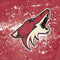 NHL Arizona Coyotes Frozen Surface Laptop Skin