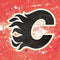NHL Calgary Flames Frozen Wii (Includes 1 Controller) Skin