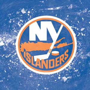 NHL New York Islanders Frozen Google Home Hub Skin