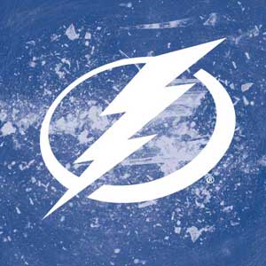 NHL Tampa Bay Lightning Frozen DS Lite Skin