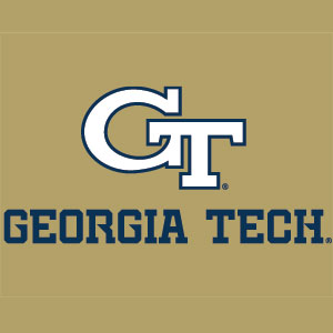 Georgia Institute of Technology Gold LogoType GT Xbox 360 (Includes HDD) Skin