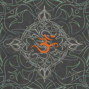 Grey Serenity Cochlear Nucleus 5 Sound Processor Skin