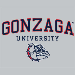 Gonzaga University Collegiate Text Xbox Series X Bundle Skin