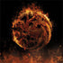 HBO House of the Dragon Flaming Tararyen Sigil Xbox Series X Bundle Skin